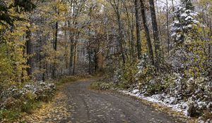 Превью обои дорога, лес, осень, снег, природа
