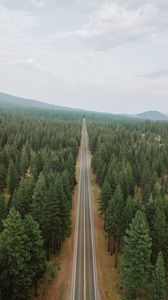 Превью обои дорога, лес, панорама, деревья, прямой, ровный