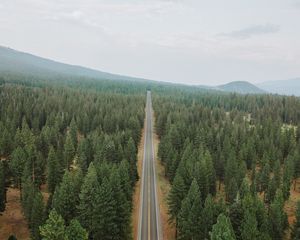 Превью обои дорога, лес, панорама, деревья, прямой, ровный