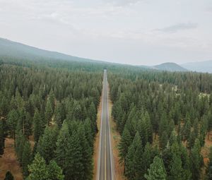 Превью обои дорога, лес, панорама, деревья, прямой, ровный