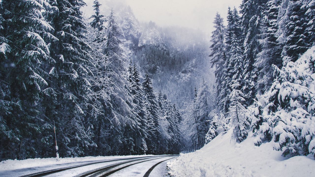 Обои дорога, лес, поворот, горы, заснеженный, зима, деревья