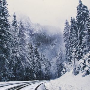 Превью обои дорога, лес, поворот, горы, заснеженный, зима, деревья