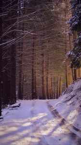 Превью обои дорога, лес, природа, деревья, снег, зима