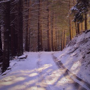 Превью обои дорога, лес, природа, деревья, снег, зима