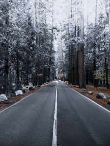Превью обои дорога, лес, разметка, осень, зима, иней