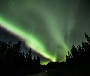 Превью обои дорога, лес, северное сияние, ночь