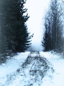 Превью обои дорога, лес, снег, туман, зима