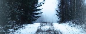 Превью обои дорога, лес, снег, туман, зима