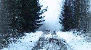 Превью обои дорога, лес, снег, туман, зима