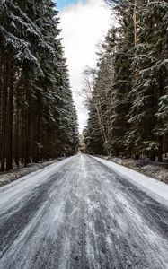 Превью обои дорога, лес, снег, сосны, деревья, зима