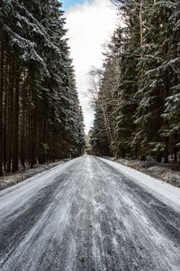 Превью обои дорога, лес, снег, сосны, деревья, зима