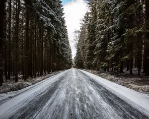 Превью обои дорога, лес, снег, сосны, деревья, зима