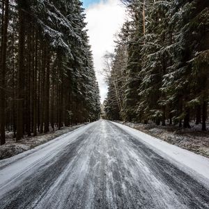 Превью обои дорога, лес, снег, сосны, деревья, зима