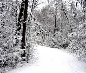 Превью обои дорога, лес, снег, зима