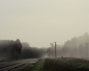 Превью обои дорога, лес, трава, туман, деревья, столб