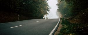 Превью обои дорога, лес, туман, природа