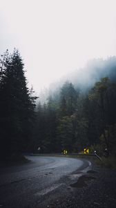 Превью обои дорога, лес, туман, поворот, асфальт, деревья