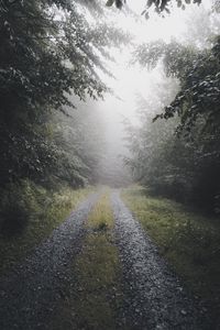 Превью обои дорога, лес, туман, деревья, природа
