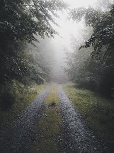 Превью обои дорога, лес, туман, деревья, природа
