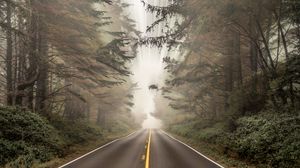 Превью обои дорога, лес, туман, размытость