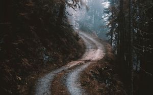 Превью обои дорога, лес, туман, сосны, деревья