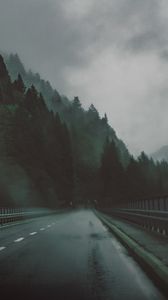 Превью обои дорога, лес, туман, темный