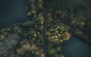 Превью обои дорога, лес, вид сверху, туман