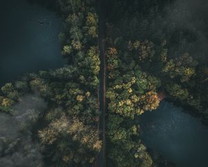 Превью обои дорога, лес, вид сверху, туман