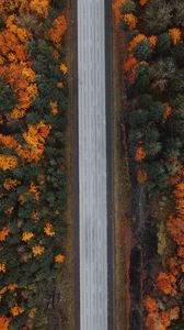 Превью обои дорога, лес, вид сверху, шоссе, деревья, осень