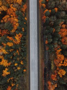 Превью обои дорога, лес, вид сверху, шоссе, деревья, осень