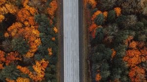 Превью обои дорога, лес, вид сверху, шоссе, деревья, осень