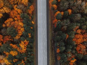 Превью обои дорога, лес, вид сверху, шоссе, деревья, осень