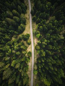 Превью обои дорога, лес, вид сверху, деревья