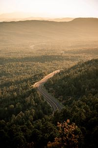 Превью обои дорога, лес, вид сверху, разметка