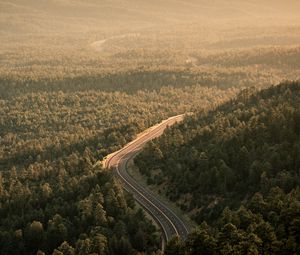 Превью обои дорога, лес, вид сверху, разметка