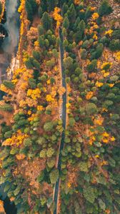Превью обои дорога, лес, вид сверху, деревья, автомобиль, осень
