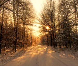 Превью обои дорога, лес, зима, снег, деревья, солнечный свет, лучи, тени