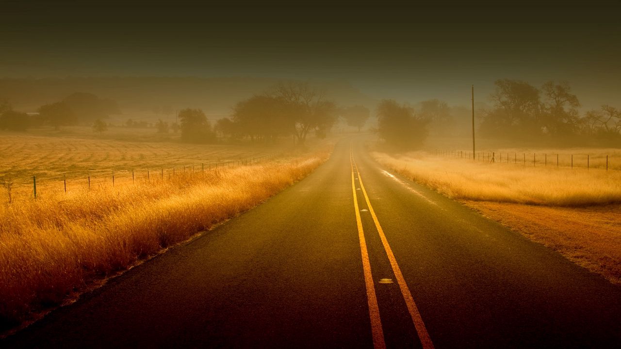 Обои дорога, линии, туман, полосы, неизвестность, асфальт, поля, трава, осень