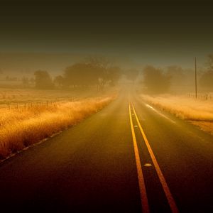 Превью обои дорога, линии, туман, полосы, неизвестность, асфальт, поля, трава, осень