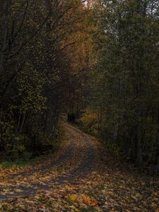Превью обои дорога, листья, поворот, деревья, лес, осень