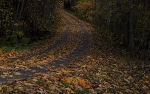Превью обои дорога, листья, поворот, деревья, лес, осень