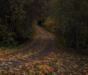 Превью обои дорога, листья, поворот, деревья, лес, осень