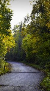 Превью обои дорога, листва, деревья, осень