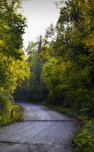 Превью обои дорога, листва, деревья, осень