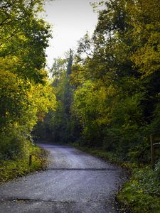 Превью обои дорога, листва, деревья, осень