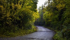 Превью обои дорога, листва, деревья, осень