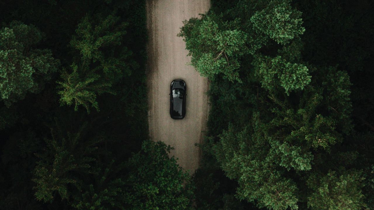 Обои дорога, машина, лес, вид сверху, деревья