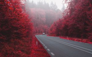 Превью обои дорога, машина, осень, кусты, туман