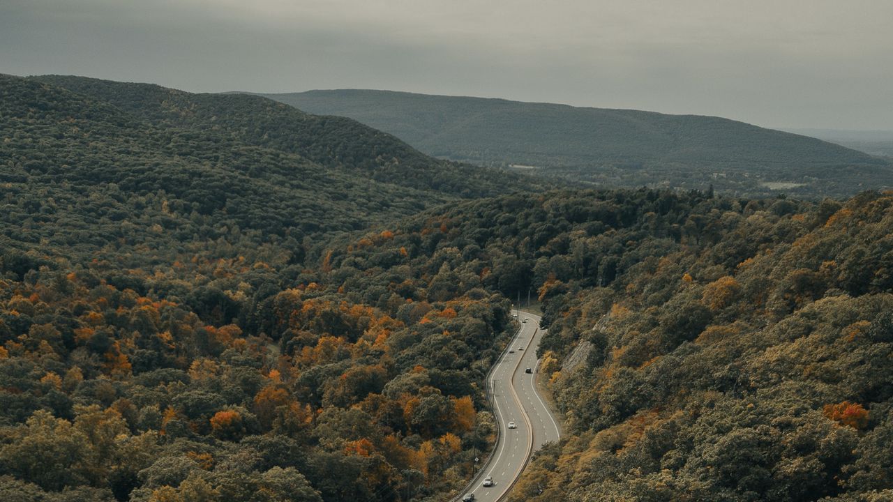 Обои дорога, машины, лес, деревья, осень