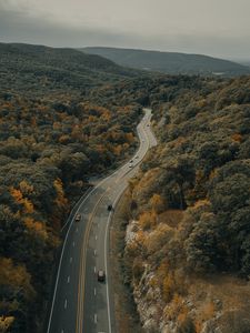 Превью обои дорога, машины, лес, деревья, осень